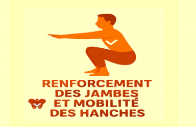 Renforcement des jambes et mobilité des hanches
