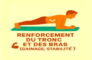 Renforcement du tronc et des bras (gainage, stabilité)