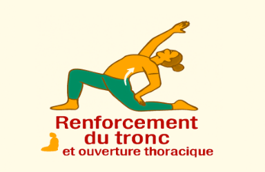 Renforcement du tronc et ouverture thoracique